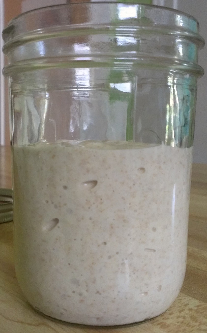 Sourdough starter